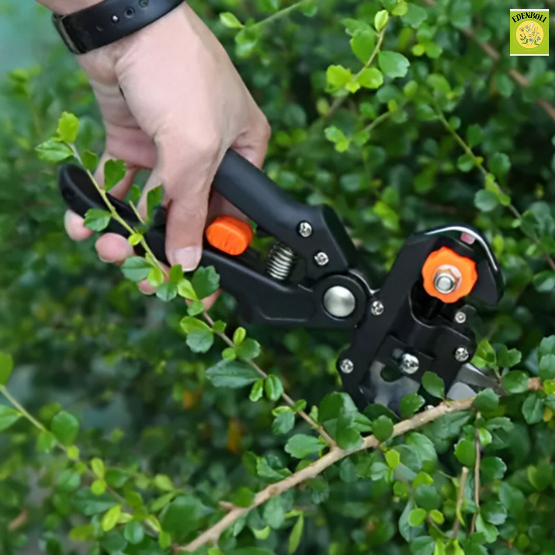 EaseGraft™ Sécateur de Greffage avec ruban