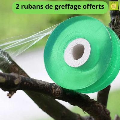 EaseGraft™ Sécateur de Greffage avec trousse