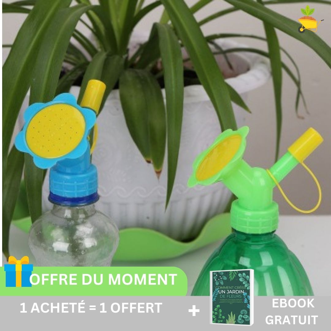 Arrosoir interrir 2 en 1 - Fluic™