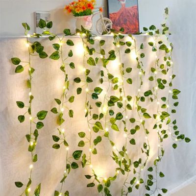 Guirlande lumineuse solaire | EcoLumina
