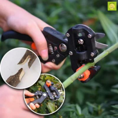 EaseGraft™ Sécateur de Greffage avec ruban
