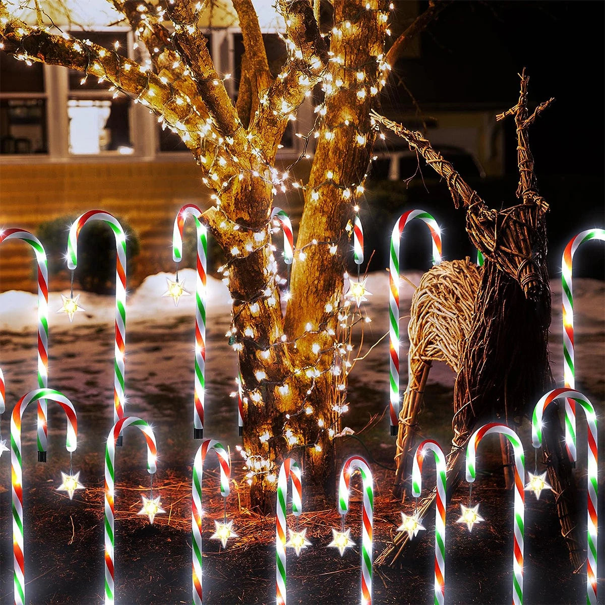 Décoration Lumineuse Jardin Noël | Douceurs Lumineuses™