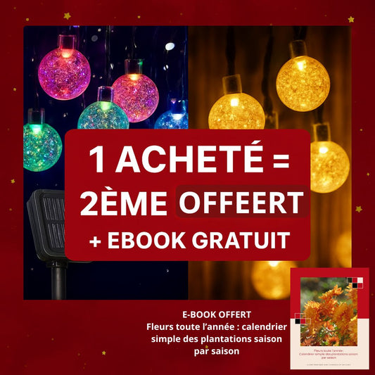 Lumières Magiques de Noël  | Écobiance™