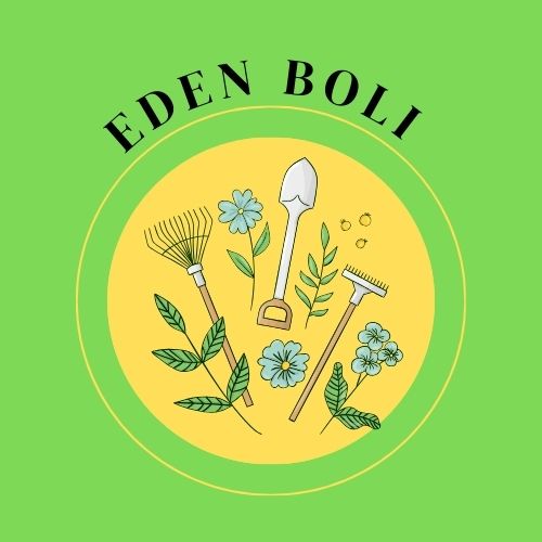 EDENBOLI