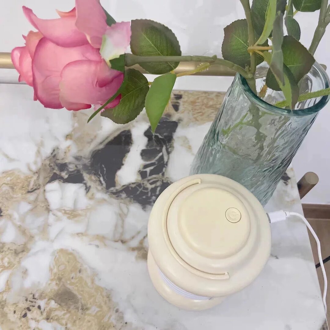 Lampe anti moustique recharge clé USB