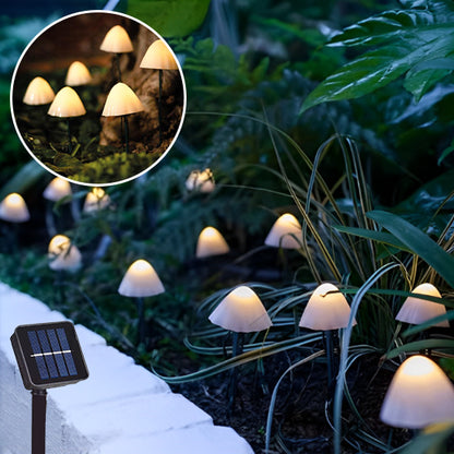 Lampe-de-jardin-solaire-énergie-gratuit