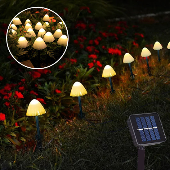 Lampe-de-jardin-solaire-éclairage-autonome