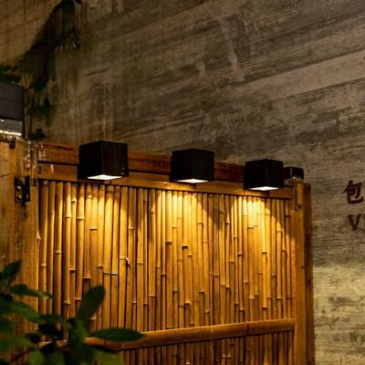 Luminaire exterieur fonctionnel et décoratif pour sécurité et esthétisme