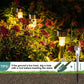 Lampe de Jardin Solaire | Pack de 10