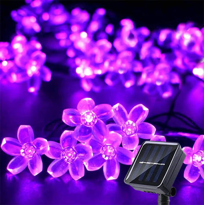 GUIRLANDES SOLAIRES AUTOMATIQUES | syntiflore™