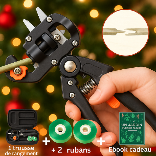 Couteau greffage arbre