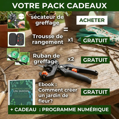 Pack cadeaux avec accessoires offerts